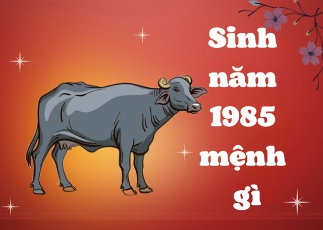 NAM SINH 1985 MỆNH KIM HẢI TRUNG KIM