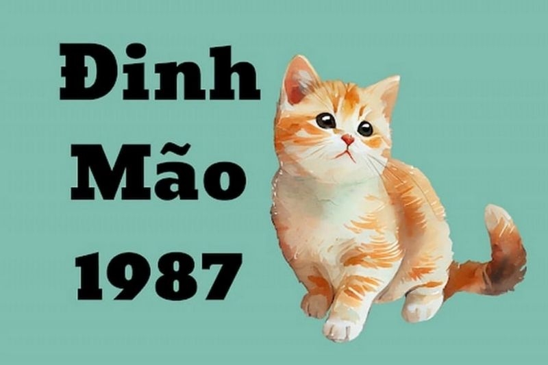 1987 hợp màu gì ảnh 1