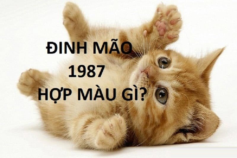 1987 mệnh gì 2