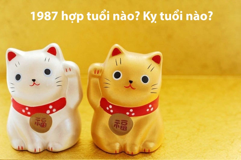Sinh năm 1987 mệnh gì? (hình 8)