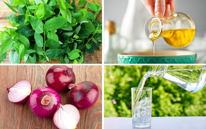 Cách nấu canh rau ngót không có thịt (ảnh 1)