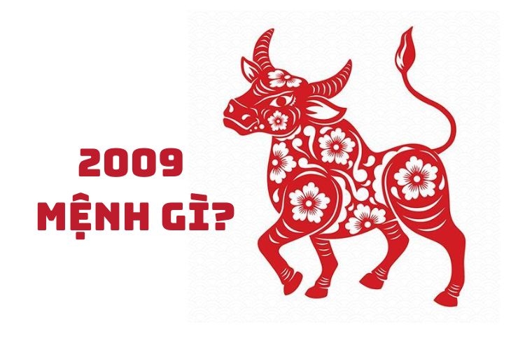 2009 mệnh gì-1.jpg
