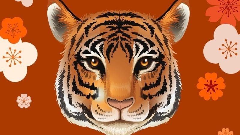 2010 là năm con gì (ảnh 4)