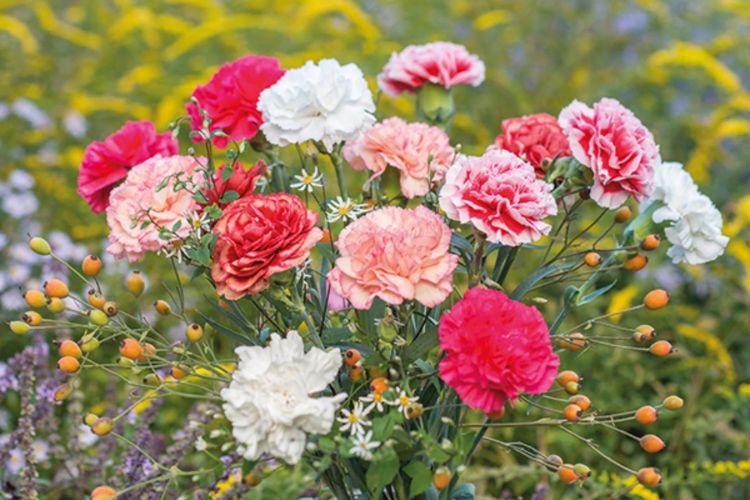 20/11 nên tặng hoa gì cho thầy cô