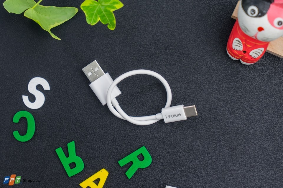 Cáp Type - C Ivalue Tpe 0.3M