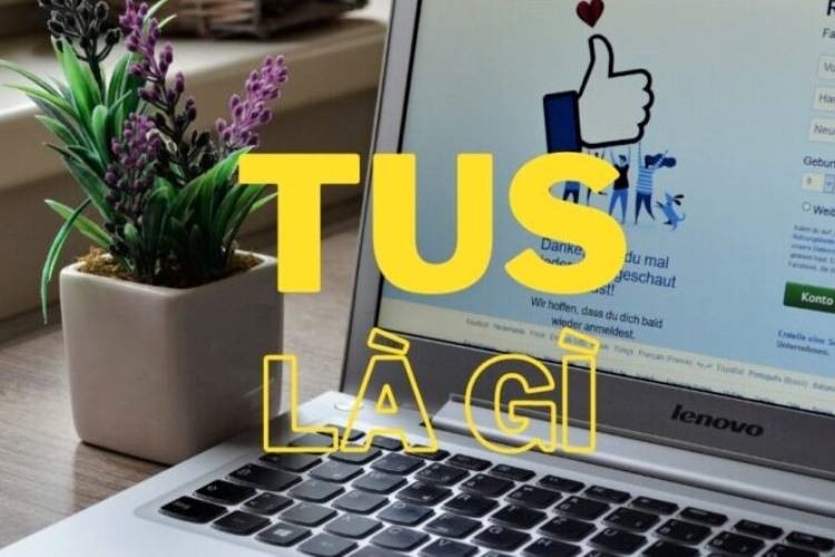 Tus là gì? Tìm hiểu chi tiết về Status trên Facebook và Tiktok