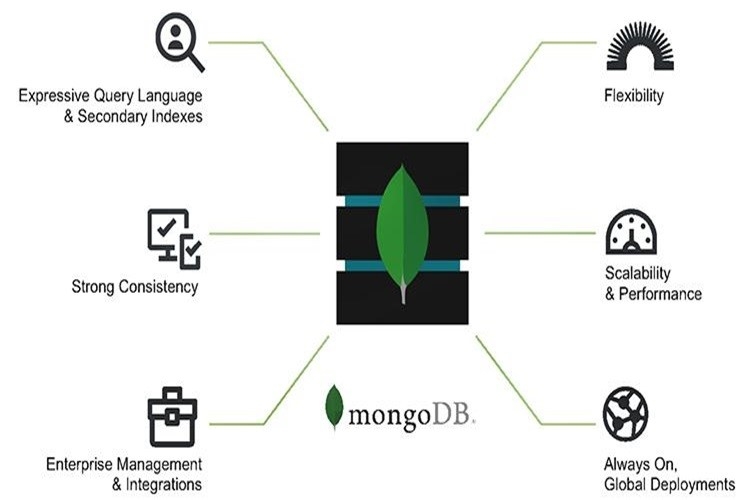 MongoDB là gì? Kiến thức về MongoDB có thể bạn chưa biết.