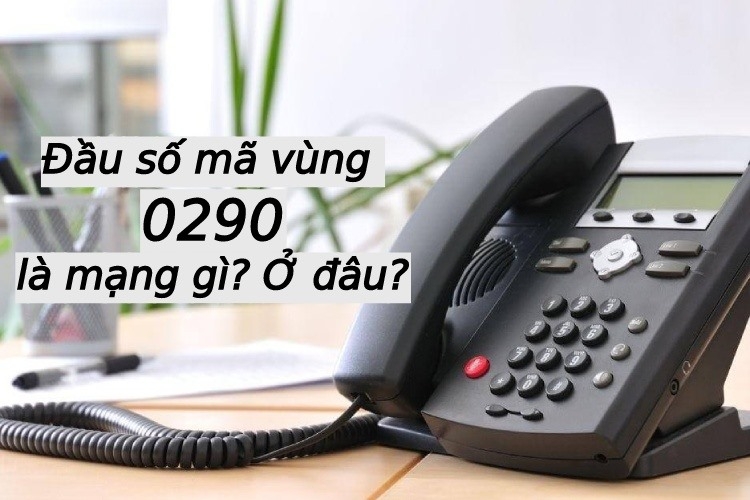 0290 là mạng gì? Ý nghĩa của đầu số mã vùng 0290