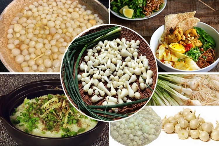 Củ nén là gì? Giá trị dinh dưỡng và các món ăn ngon từ củ nén