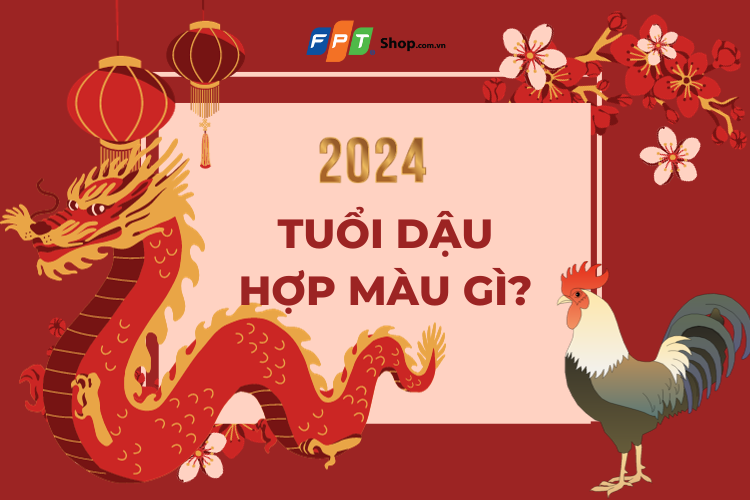 Tuổi 1993 Hợp Màu Gì 2024? Khám Phá Những Màu Sắc Mang Lại Tài Lộc, May Mắn