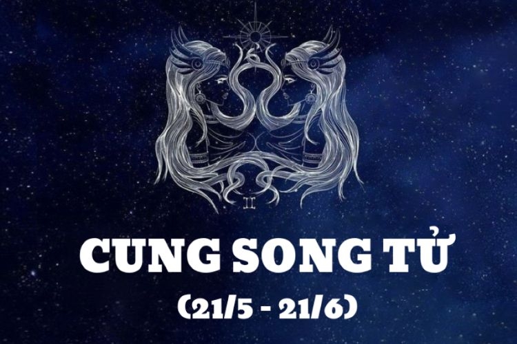 215 là cung gì-2.jpg