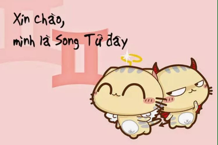 215 là cung gì-8.jpg
