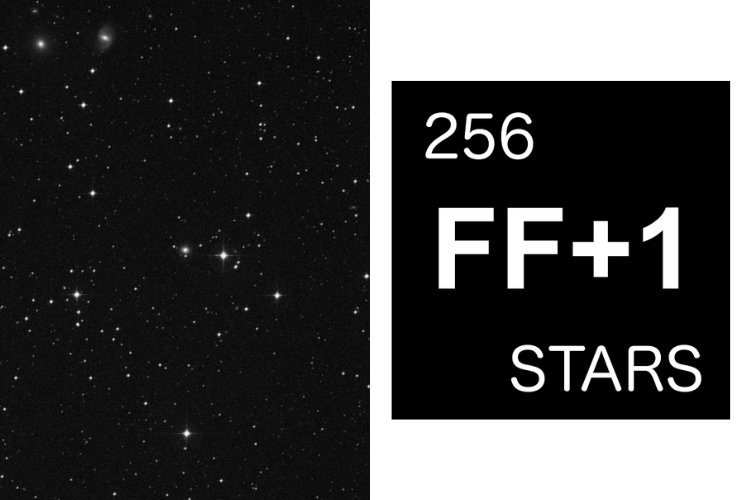 256 Stars 4