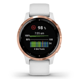 vivoactive 4S, GPS, Wi-Fi, White/Rose Gold, SEA