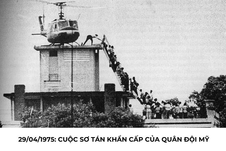 294 là ngày gì-5.jpg