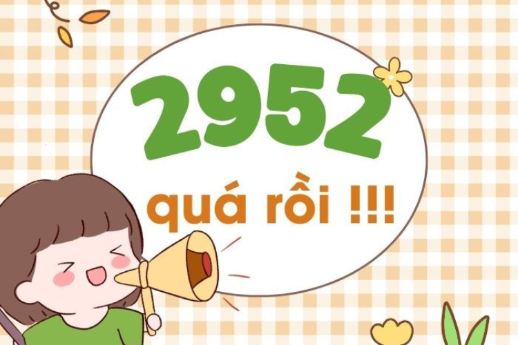2952 là gì 2