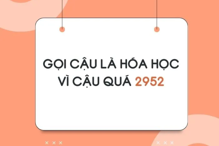 2952 là gì 3