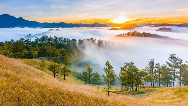 Săn mây vào sáng sớm