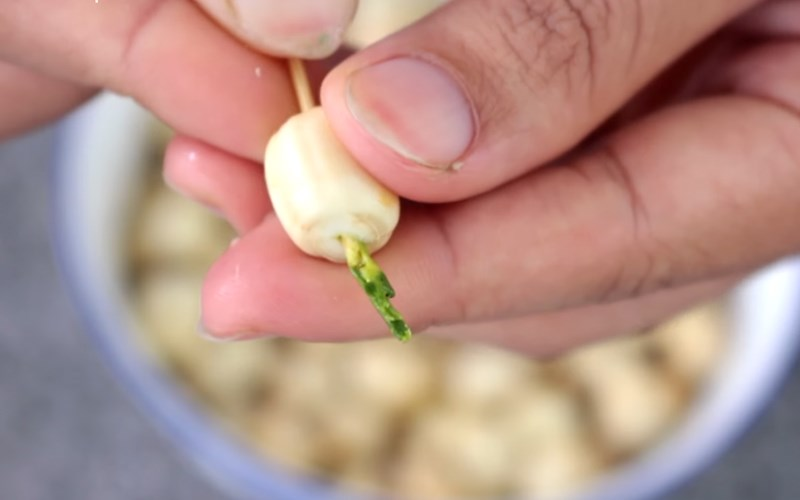 cách làm sữa hạt sen mè đen (ảnh 3)