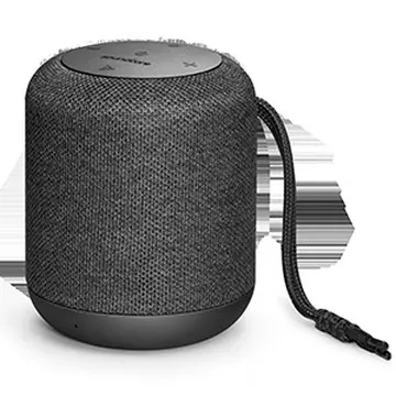 Loa Bluetooth Anker SoundCore Motion Q - A3108 Đen