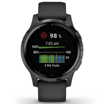 vivoactive 4S, GPS, Wi-Fi, Black/Slate, SEA