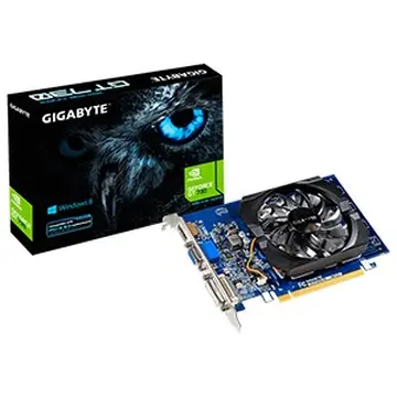 Card đồ hoạ Gigabyte N730D3-2GI