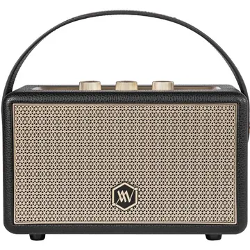 Loa Bluetooth ALPHA WORKS AW-W88