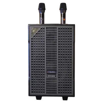 Loa kéo Karaoke IMusic ST-10R