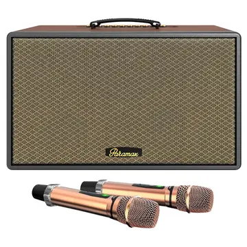 Loa Karaoke xách tay Paramax Saga