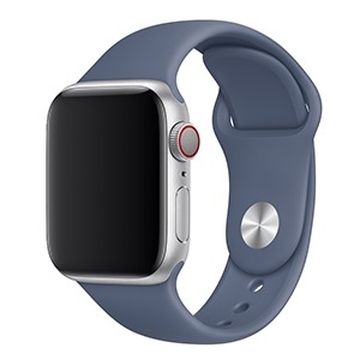 Dây đeo Apple Watch 40mm cao su Alaskan Blue