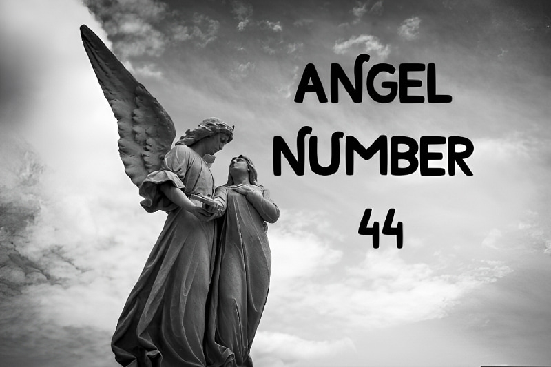 44 nghĩa là gì ảnh 4