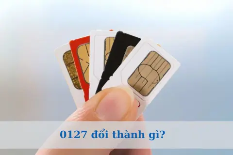 0127 đổi thành đầu số gì? Cập nhật chi tiết thông tin mới nhất cho thuê bao di động