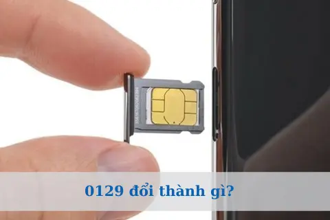 0129 đổi thành đầu số nào? Hướng dẫn chi tiết cách cập nhật tránh gián đoạn liên lạc