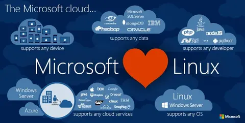 Microsoft tham gia Hiệp hội Linux, 15 năm sau khi Steve Ballmer gọi đây là căn bệnh "ung thư"