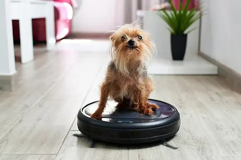 Nên chọn robot hút bụi như thế nào cho nhà có thú cưng?