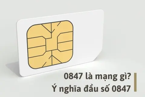 0847 là mạng gì? Đầu số này có đẹp không và ý nghĩa phong thủy của nó là gì?