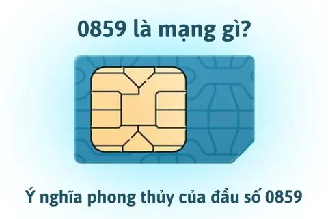 0859 là mạng gì? Đầu số này có ý nghĩa phong thủy như thế nào và có thể mua ở đâu?