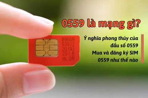 0559 là mạng gì? Giải mã ý nghĩa đầu số này và cách mua SIM 0559 dễ dàng, nhanh chóng