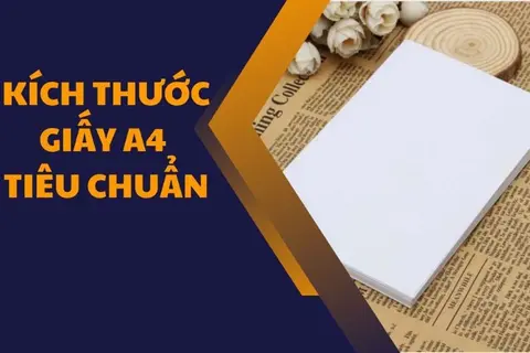 Kích thước giấy A4: Những điều thú vị có thể bạn chưa biết