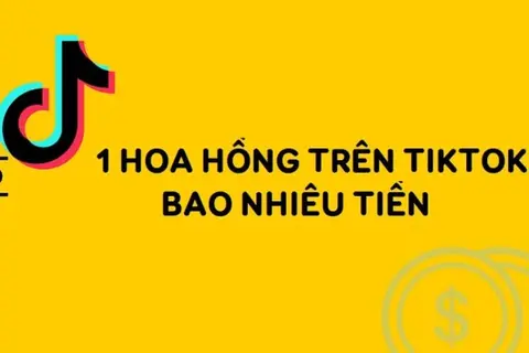1 hoa hồng trên Tiktok là bao nhiêu tiền? Điều kiện nhận và cách tặng hoa hồng