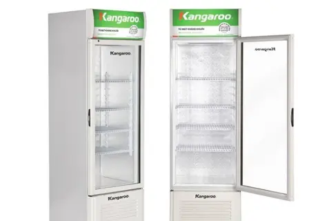 Tủ mát Kangaroo kháng khuẩn, khử mùi hiệu quả - Tại sao nên mua ngay cho gia đình?