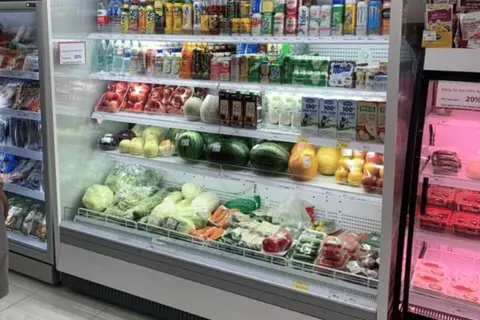 Bật mí những điều cần biết khi sử dụng tủ mát hiệu quả và tiết kiệm điện