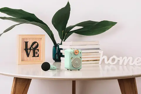 List loa hát Karaoke nên mua để tiệc tùng cùng gia đình, bạn bè Tết 2023