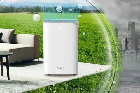 Máy hút ẩm giá bao nhiêu? Những lưu ý khi mua máy hút ẩm