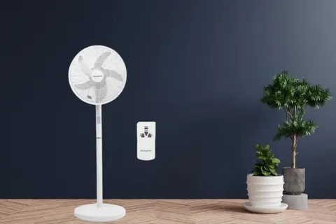 Top 5 chiếc quạt cây có điều khiển từ xa hiện đại và tiện dụng bậc nhất hiện nay