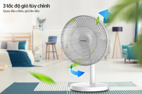Quạt cây loại nào tốt? Top 5 chiếc quạt cây nên mua trong mùa hè này