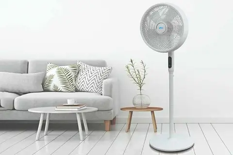 Gợi ý những mẫu quạt cây đẹp phù hợp với không gian sang trọng, hiện đại