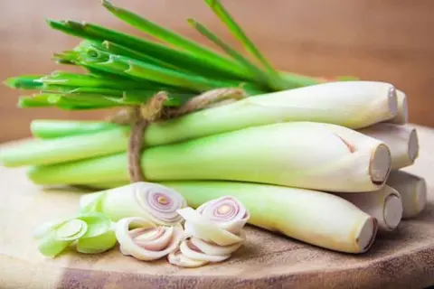 3 cách đuổi muỗi bằng sả phổ biến bạn nên biết