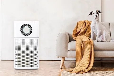 Máy lọc không khí hút lông chó mèo được không? Dưới đây là câu trả lời