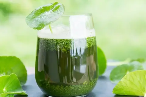 Rau má mix với gì tốt cho sức khỏe? Gợi ý 4 công thức mix nước ép rau má với trái cây đủ vị thơm ngon và bổ dưỡng